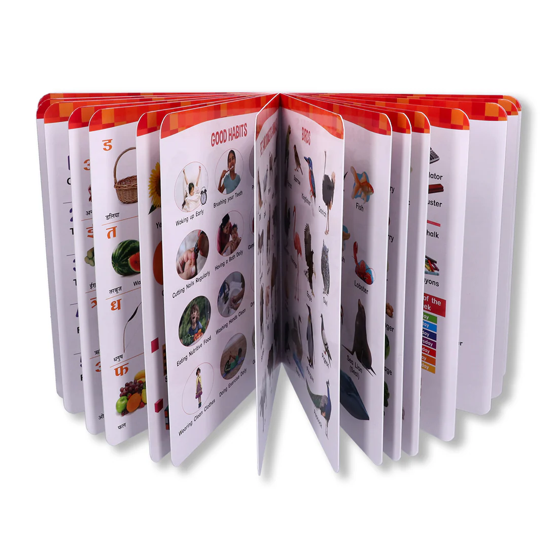 Product image 12